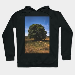 Sally Gap Tree Hoodie